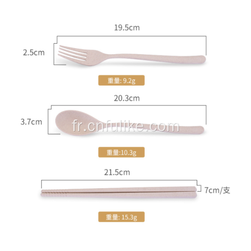 Boîte à lunch écologique en paille de blé